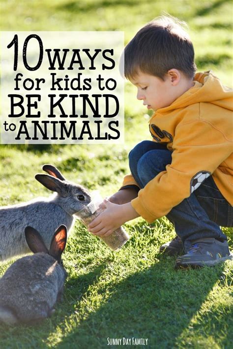 Kind to Animals 